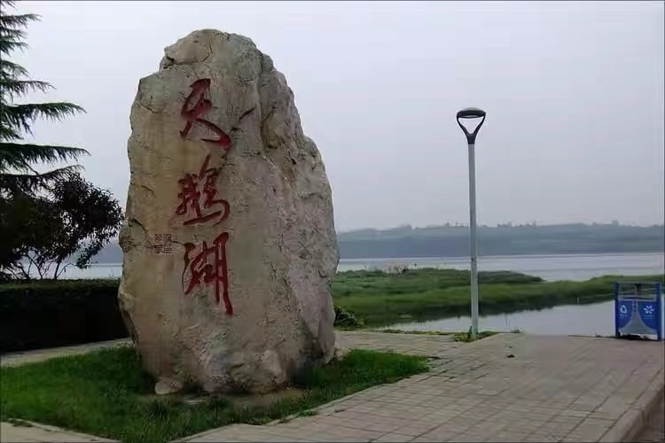 海外头条：《大雪初降天鹅城》作者 ||河南三门峡 黄赞高（图5）
