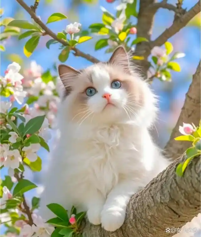 解佩令*花猫 作者//唐增虎（山东）（图3）