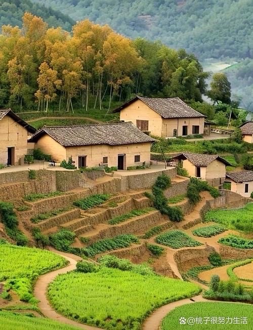 海外头条:【诗词卌八首】作者 ||曾振华(图6)
