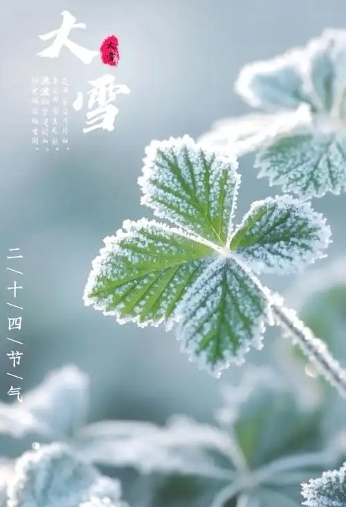 海外头条:【诗词卌八首】作者 ||曾振华(图12)