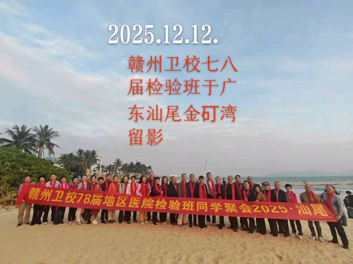 相聚红海湾（图8）