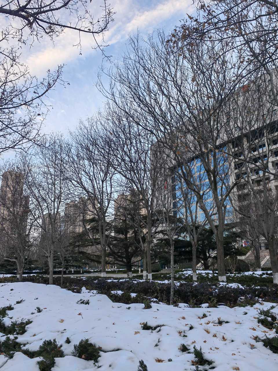 雪霁天放晴（图2）