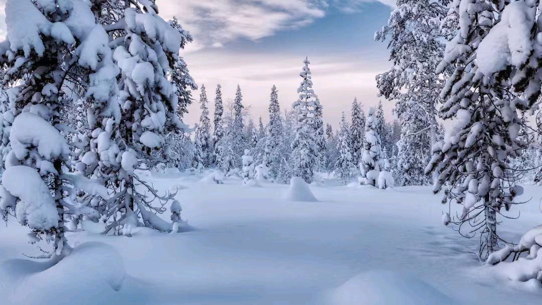 【隆重推出】《让雪写上冬的名字》 ‖ 作者 王永萍 ‖ 主播 飘（图6）
