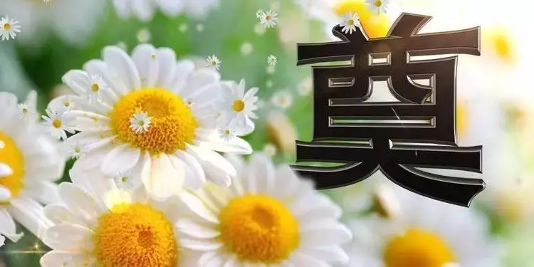 《怀念父亲绝律6首》作者：于仕勤 [中国现代诗歌文化传媒推荐]（图7）