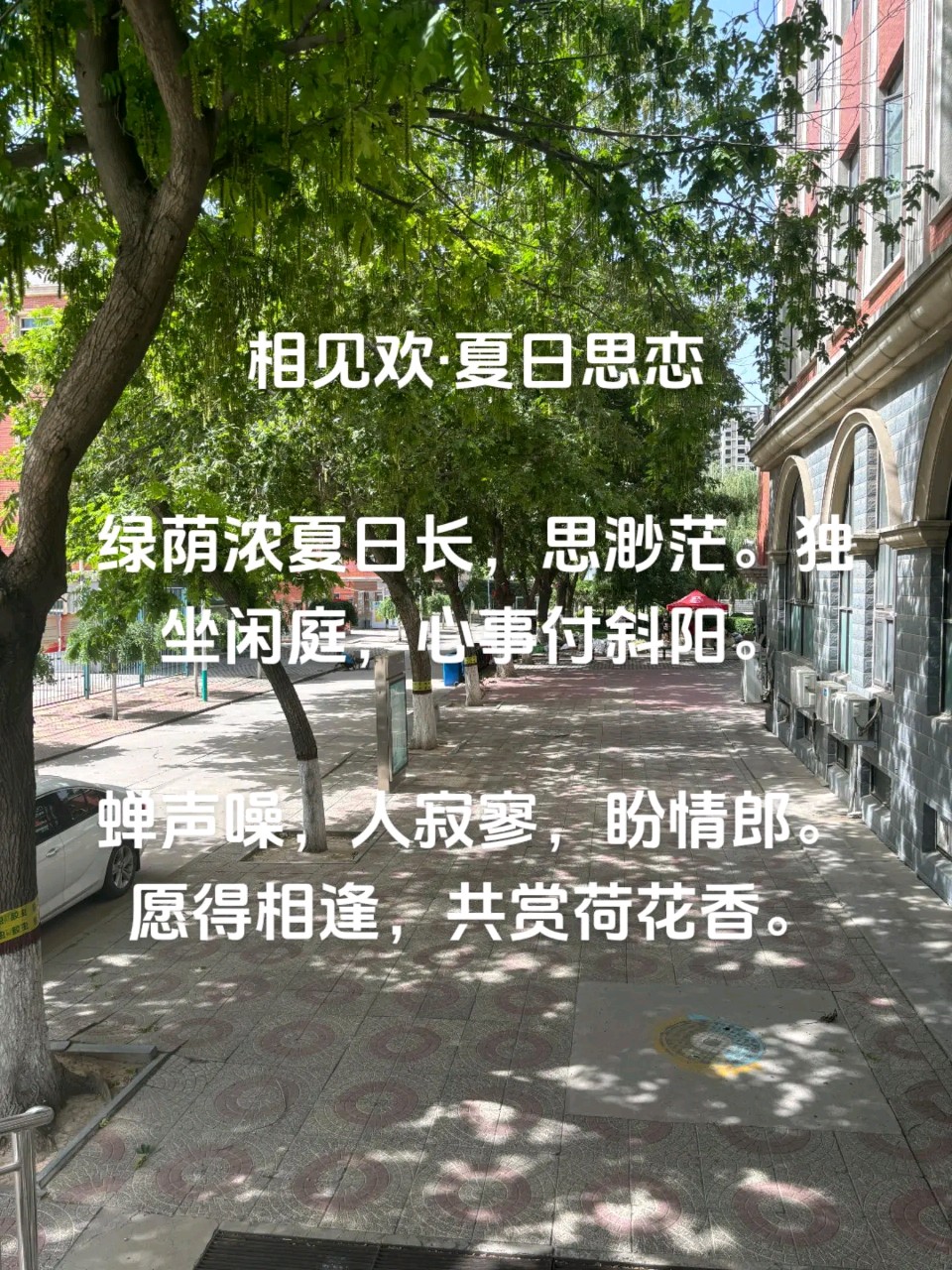 当代知名诗人王殿奎老师精彩律诗与君共赏（图5）