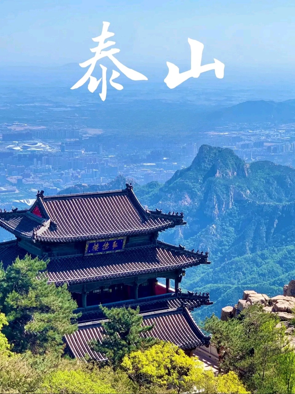 当代知名诗人王殿奎老师精彩律诗与君共赏（图6）