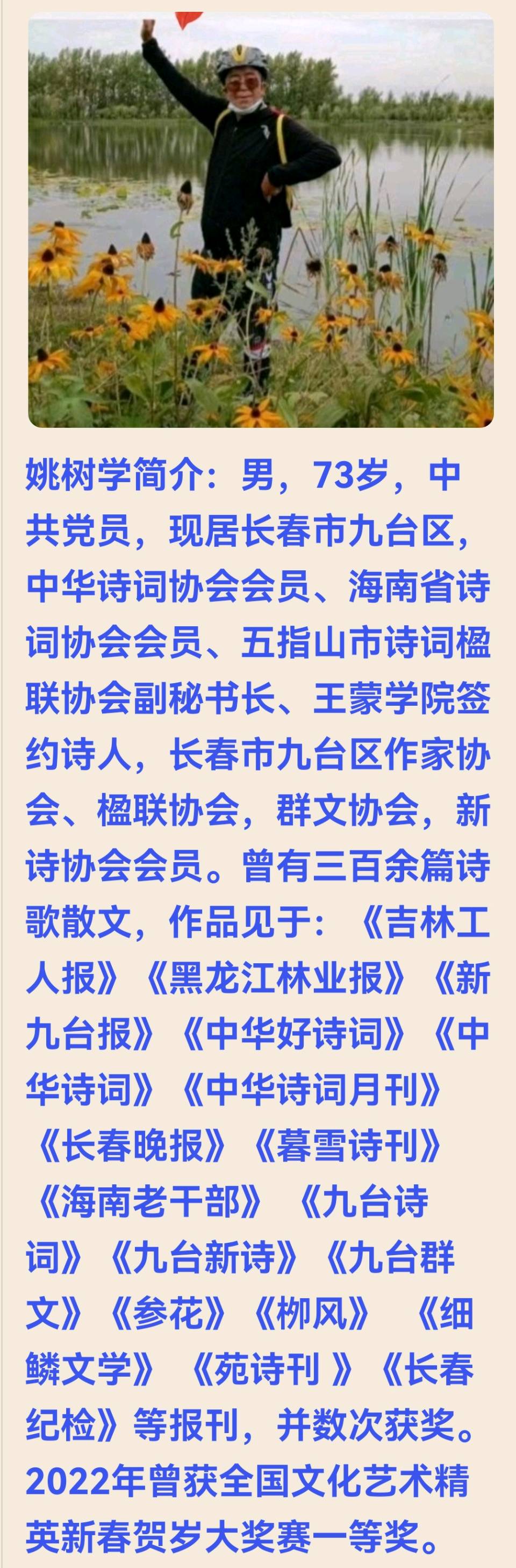 乡村酸菜炖大鹅 作者：姚树学（图14）