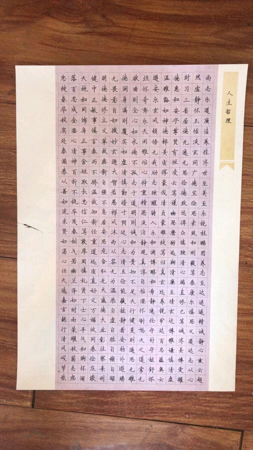 【都市头条向幸福出发编辑部】第14510期 张钊恒老师作品3