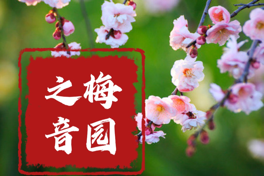【梅园之音】听大梅朗诵《写给孙子的诗》作者：周瑞凤（图2）