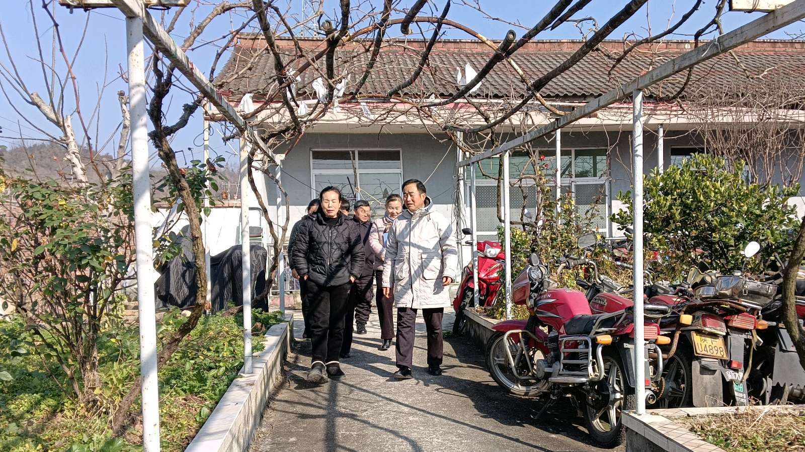 志愿进棚讲政策 助农产业日更兴
