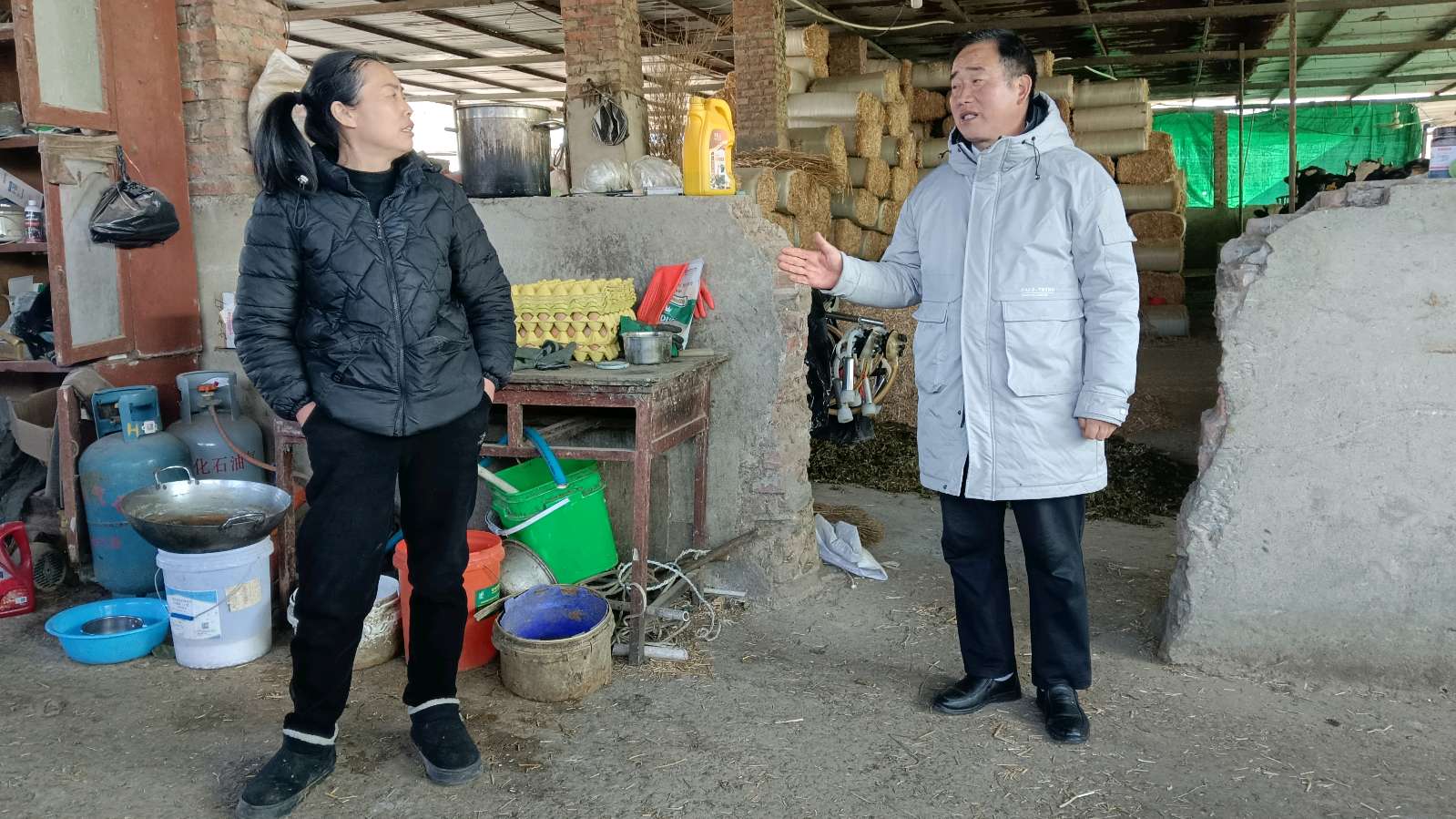 志愿进棚讲政策 助农产业日更兴（图2）