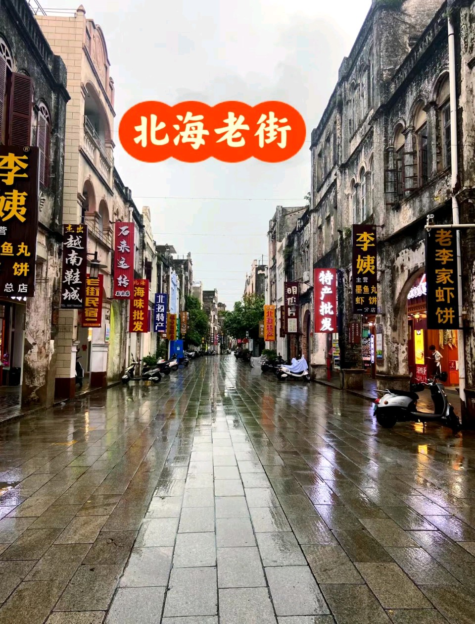 【荣耀中国】文学社·七言古风.候鸟南飞纪行(六) 杂吟(四首)文/苏 扬(吉林)（图10）