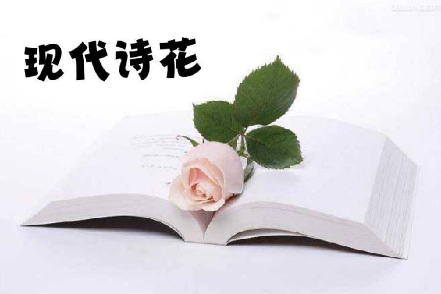 ♥都市《诗书画🈴璧》网刊集锦2025第25期 《都市诗书画文学艺术》“诗词撷英专刊”（图26）