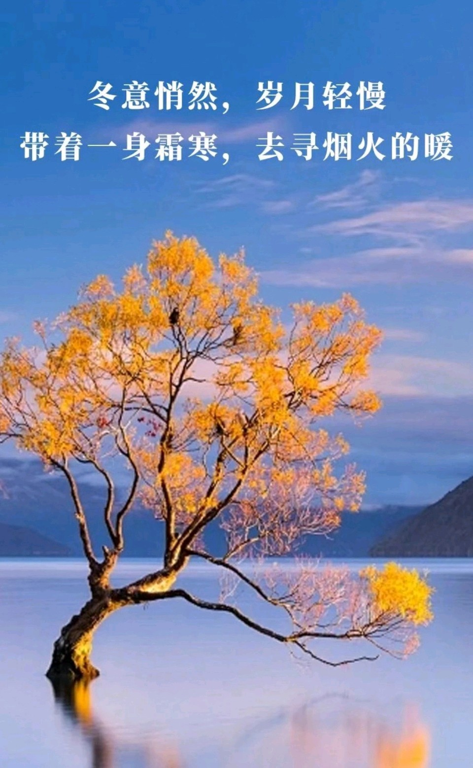 七绝-暮岁吟～王政（辽宁）（图11）