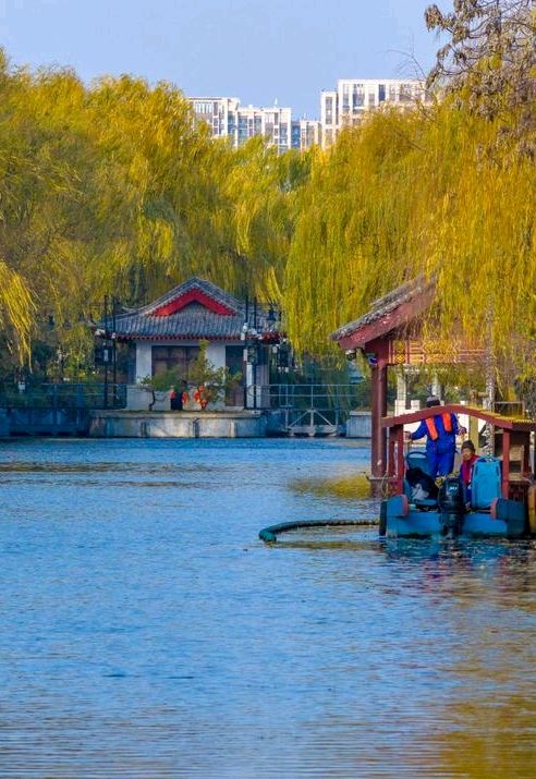河畔赏清韵（图3）