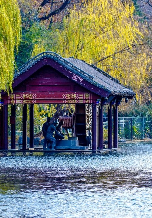 河畔赏清韵（图4）