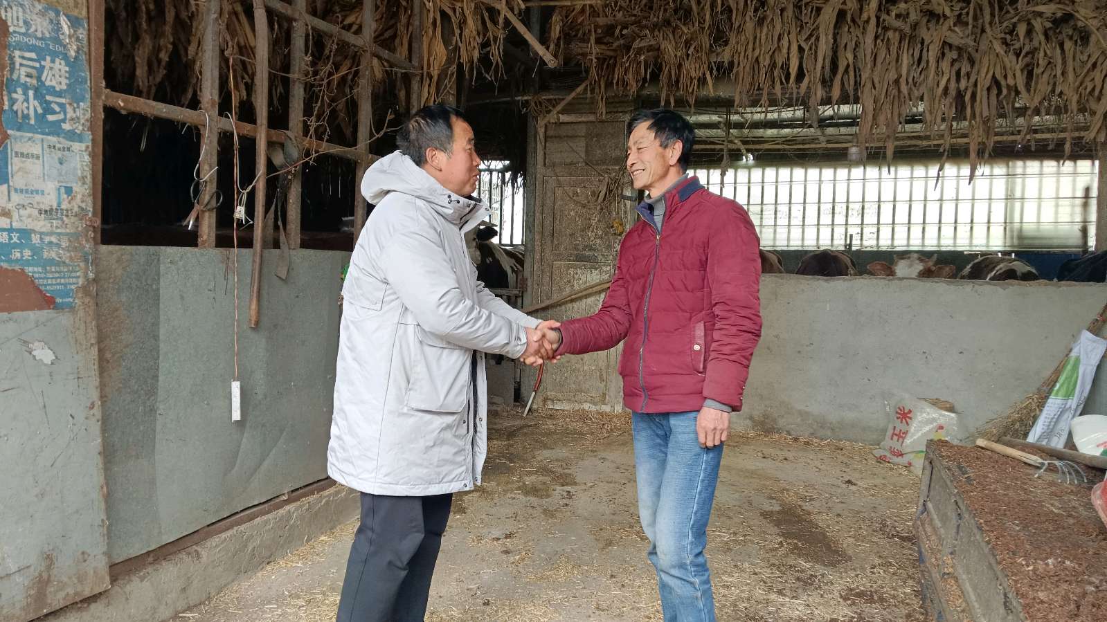 走村入户去调研 助力产业促振兴（图2）