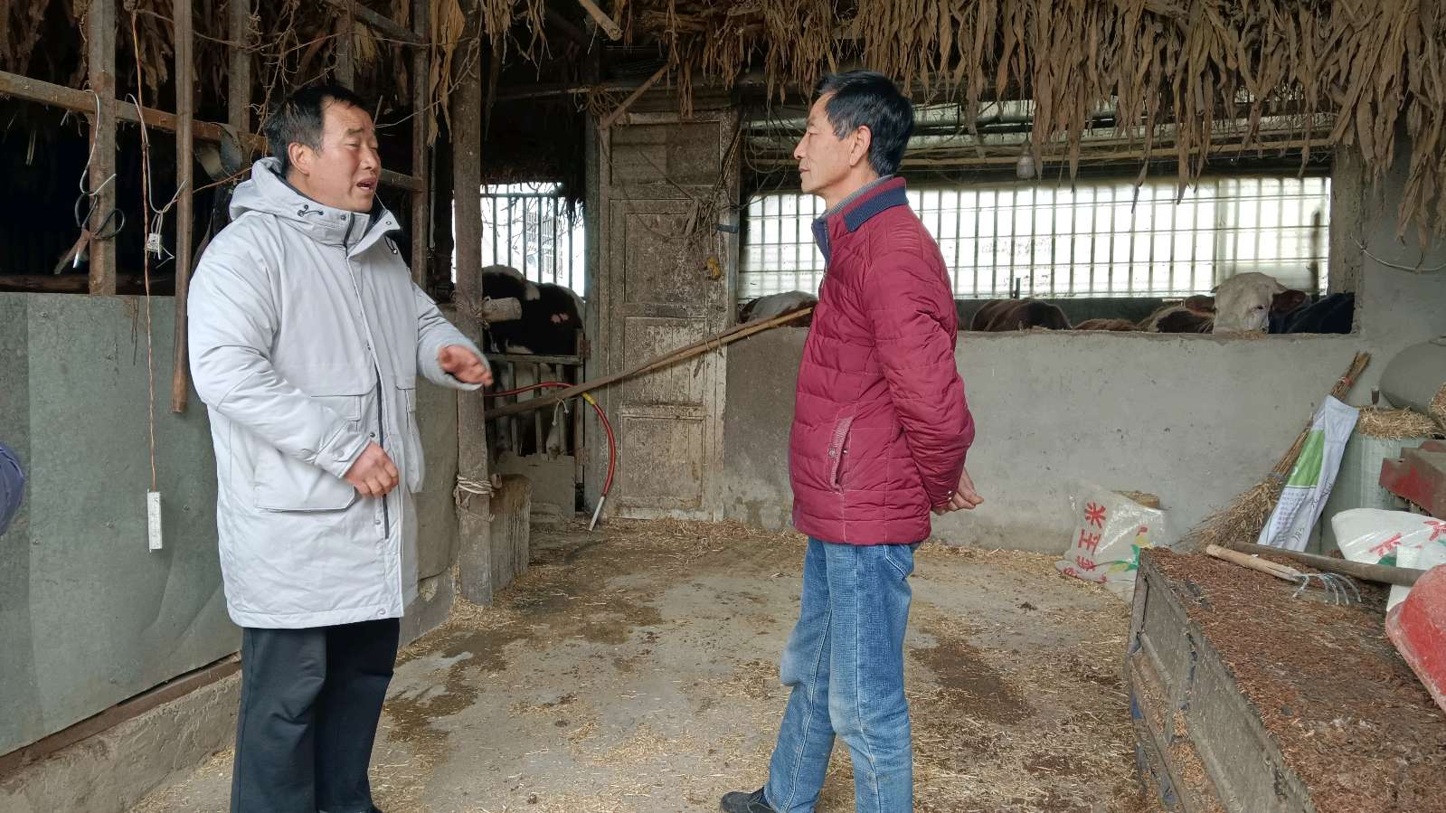 走村入户去调研 助力产业促振兴（图4）