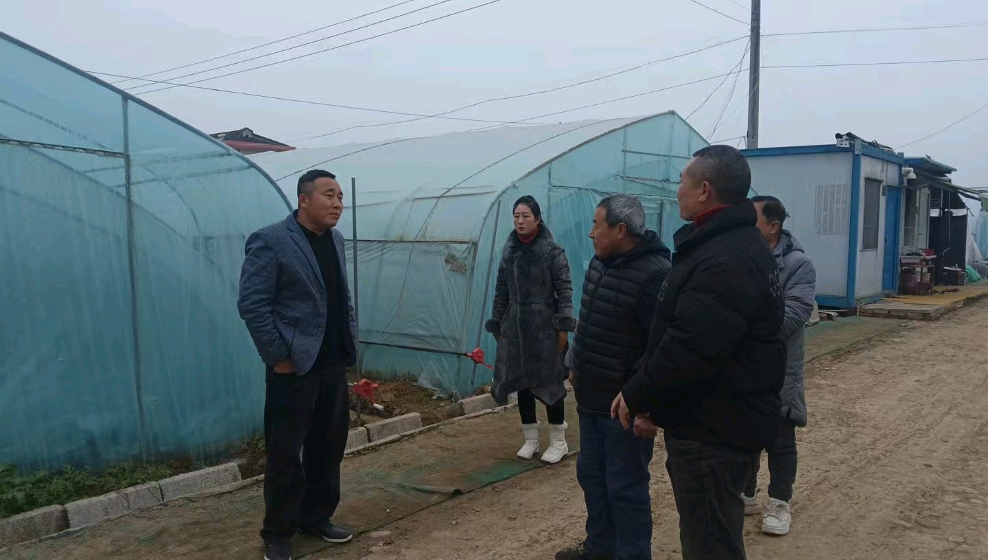 田间走访探农情 志愿帮扶促振兴（图2）