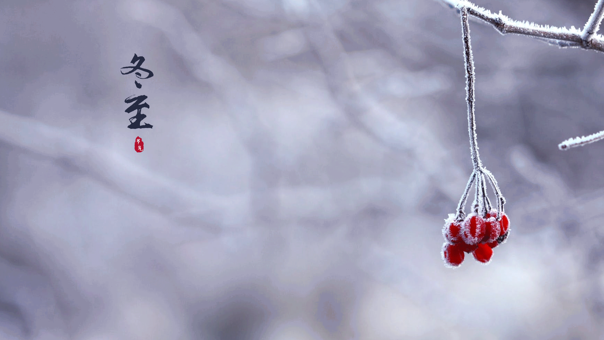 【新诗大观】写给冬至||文/姜振国（图3）