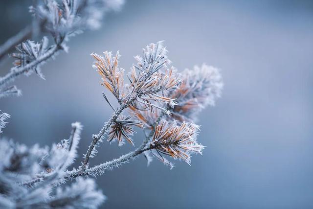 都市名家专栏：小雪//​桑恒昌