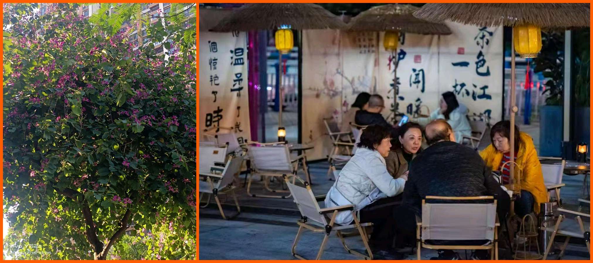 【冬韵抒怀】曾培方//乙巳年冬至闲吟（图4）