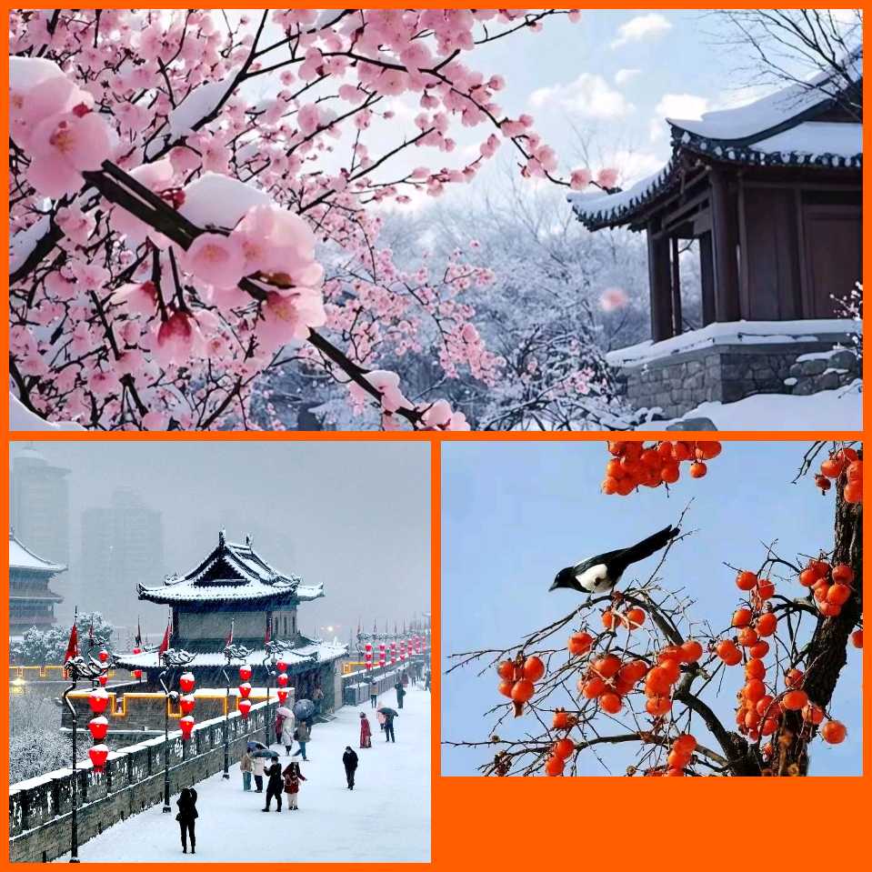 【重磅推出 冬韵抒怀】鲁坡//七律•渴望团圆[七律•冬至祈福]+七律•杪冬近春（图5）