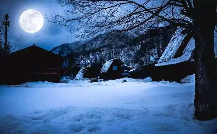 《七律•寒冬雪月》作者：郭小林 [中国现代诗歌文化传媒推荐]（图5）