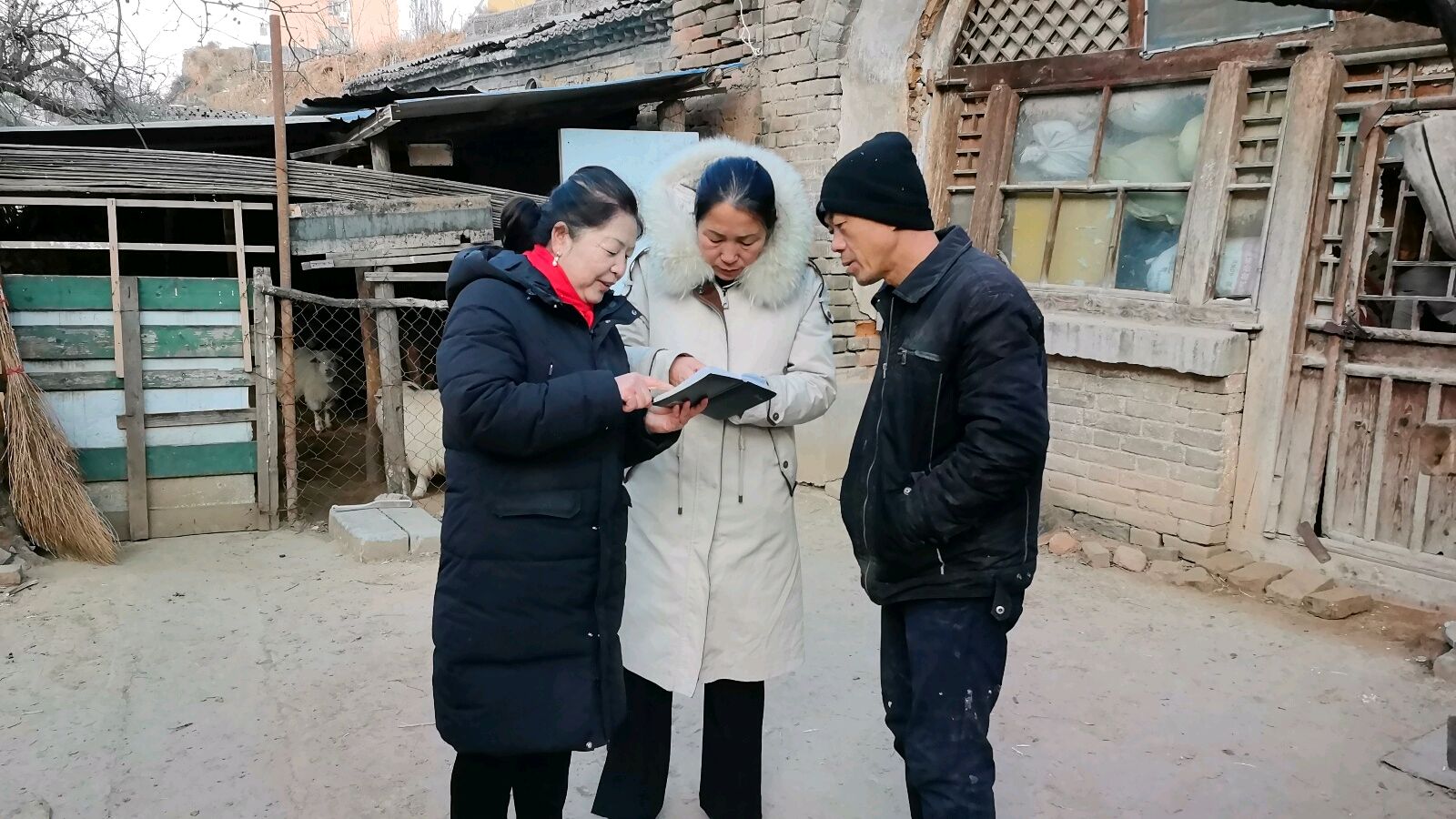 志愿调研暖农心 梳理思路明方向（图3）