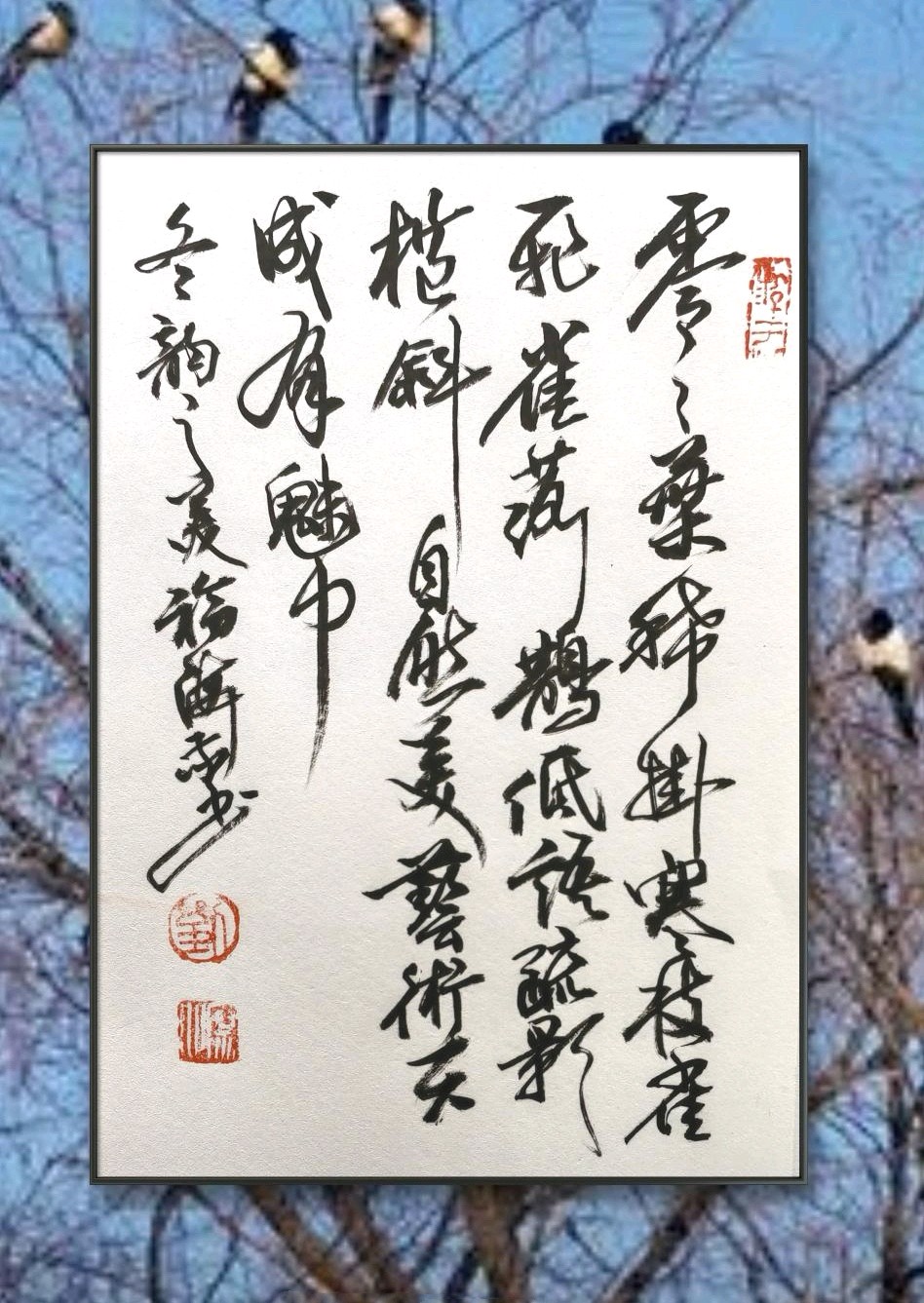 冬韵树之美