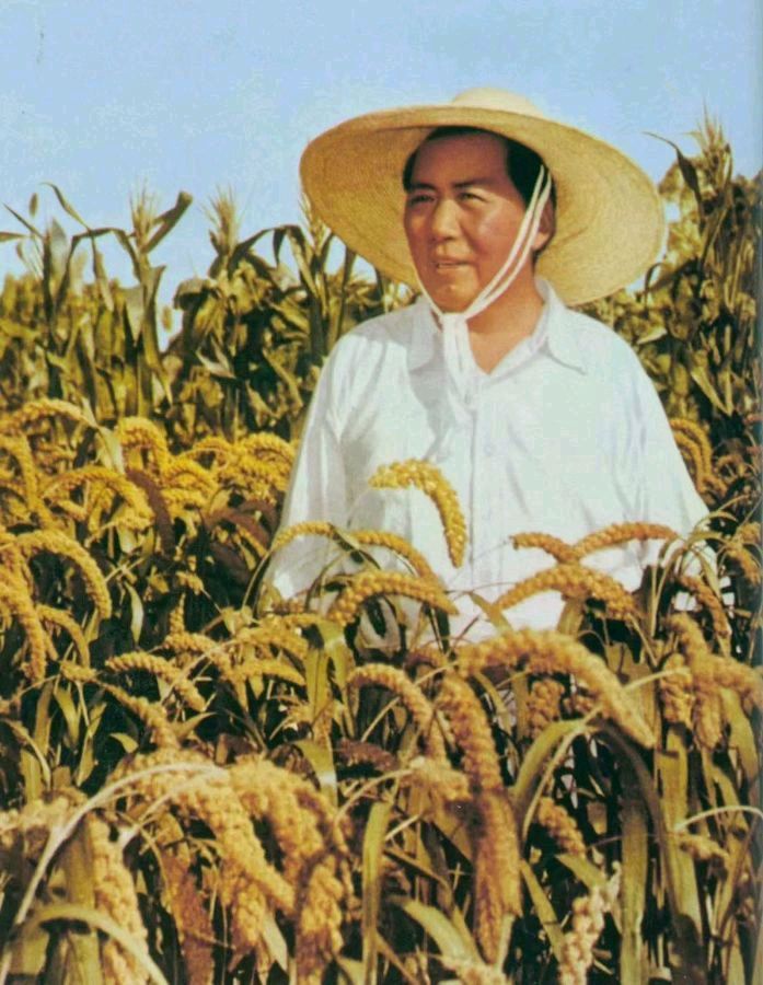 《九江文学社：北京头条》纪念毛泽东主席诞辰132周年（图18）