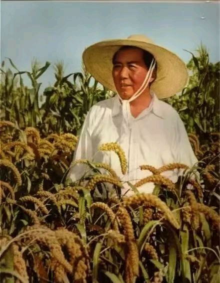 七绝《纪念伟人毛主席》文/潘毅（图13）