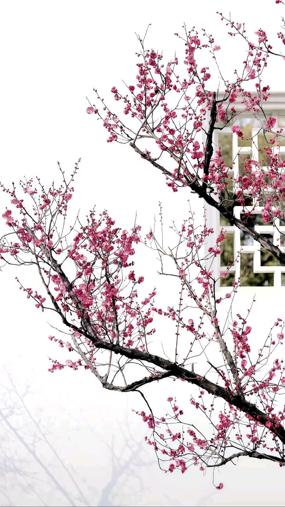 当代知名诗人严宗碧老师精彩诗词与君共赏（图8）