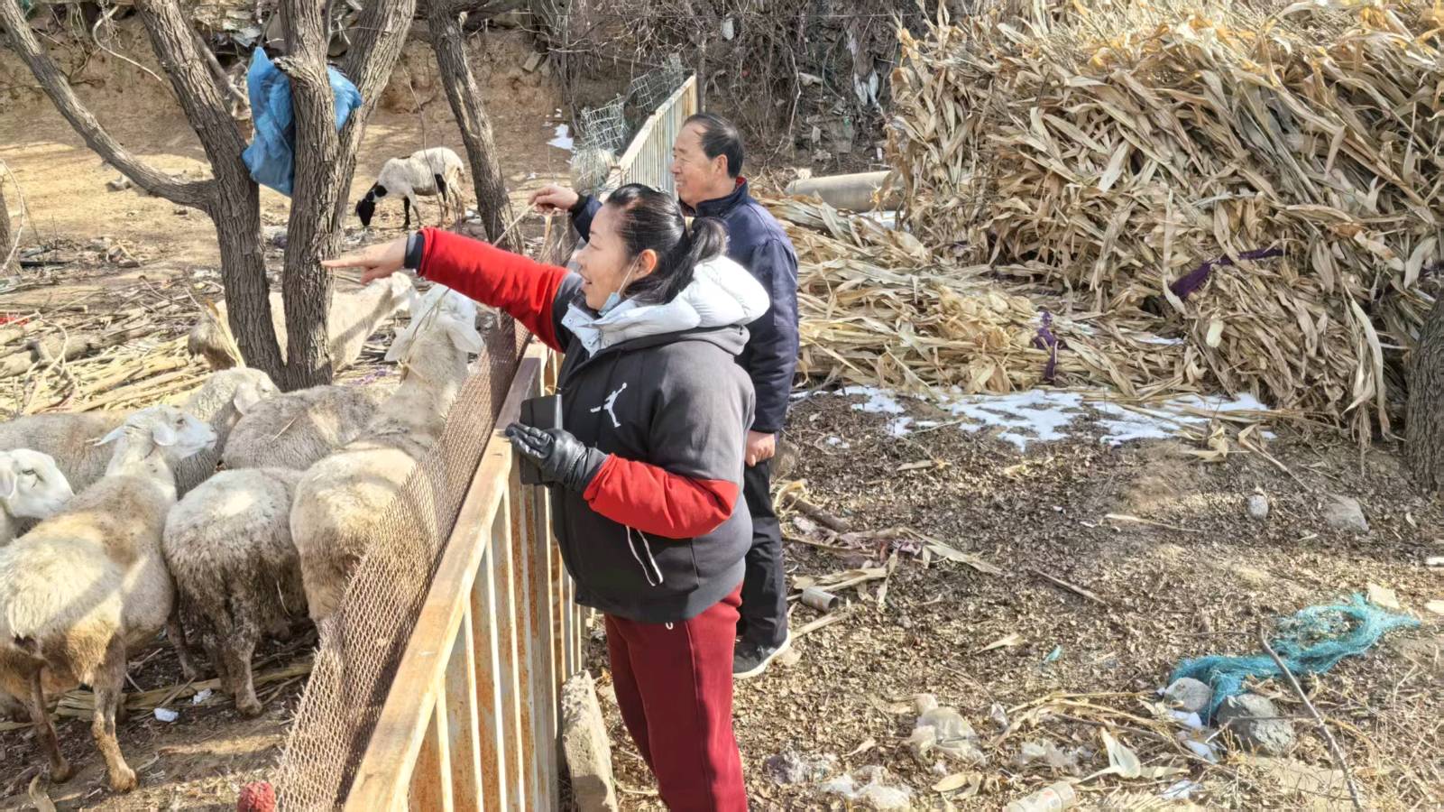 三组志愿行 情暖养殖户（图3）