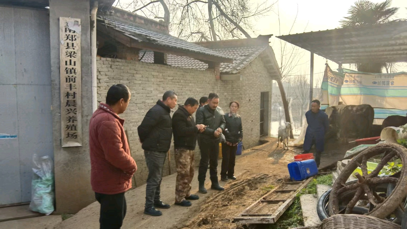 志愿调研入乡村 情系牛户助振兴（图3）
