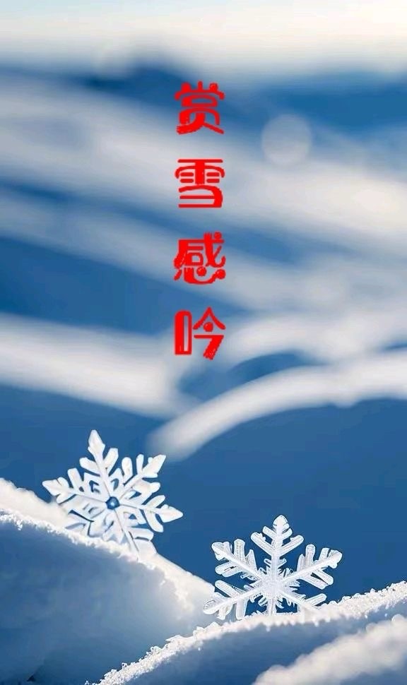 海外头条：《故园雪语吟怀》（组诗二首）作者||代晓春（图6）