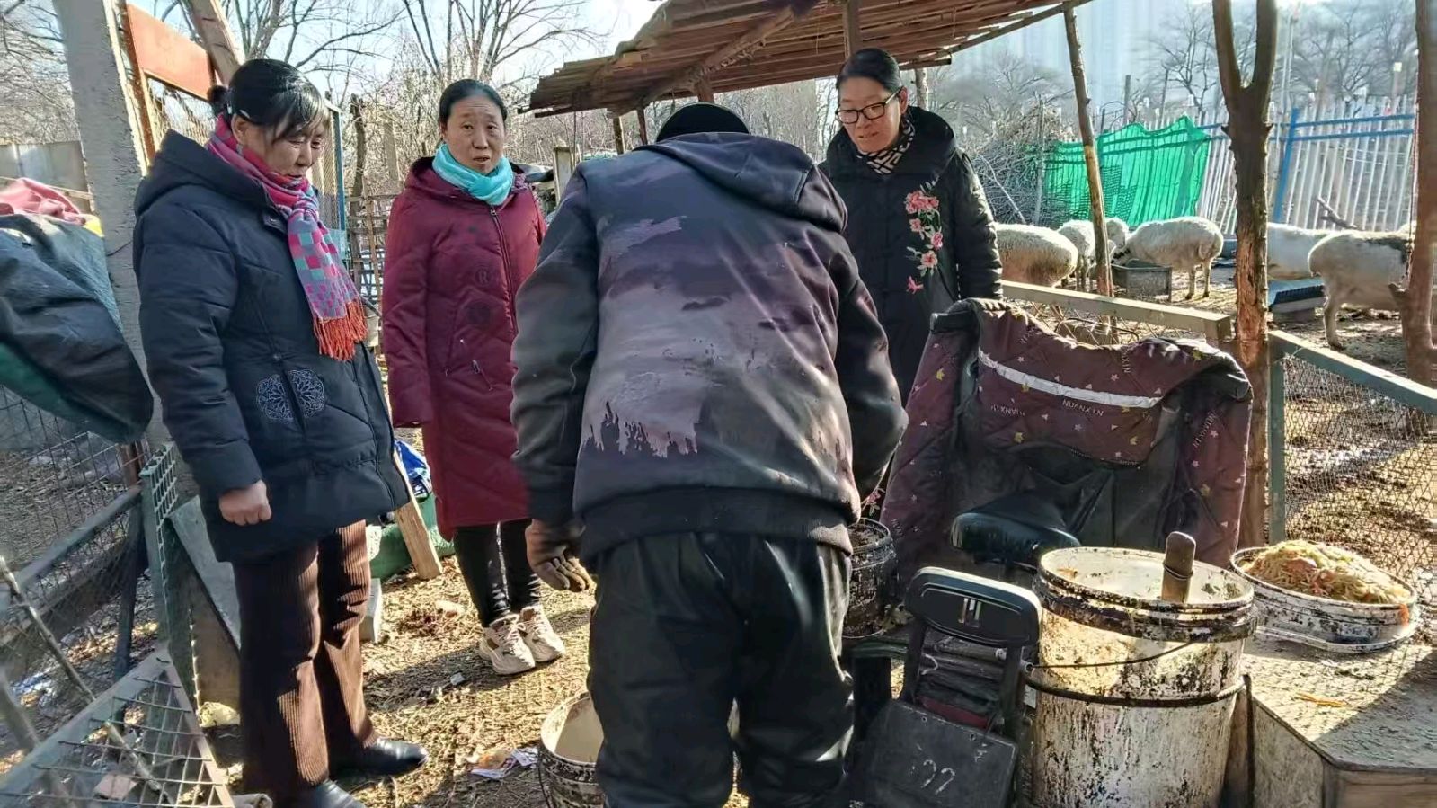 志愿调研进乡村 倾听农户诉心声（图3）