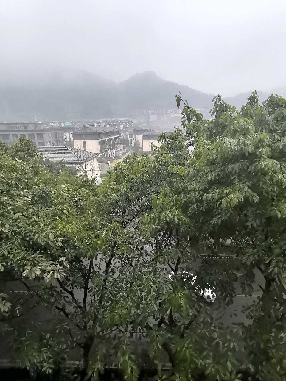 「散文」南山雨雾里的一场岁末迎新文艺盛宴