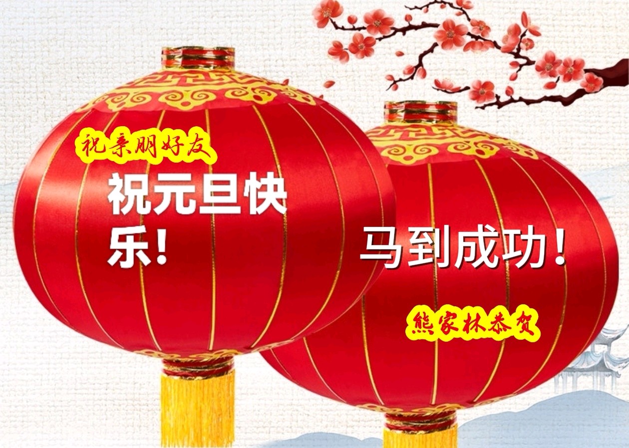 「元旦贺词」律回春晖 欢度元旦（图2）