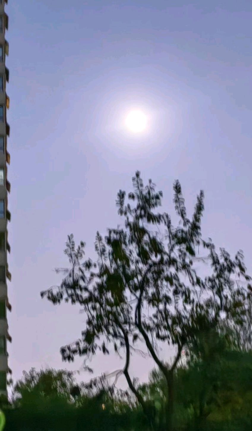 今宵月初圆🌙（图2）