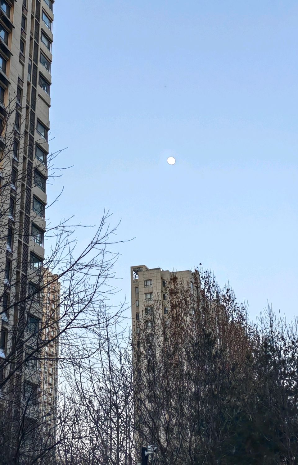 今宵月初圆🌙
