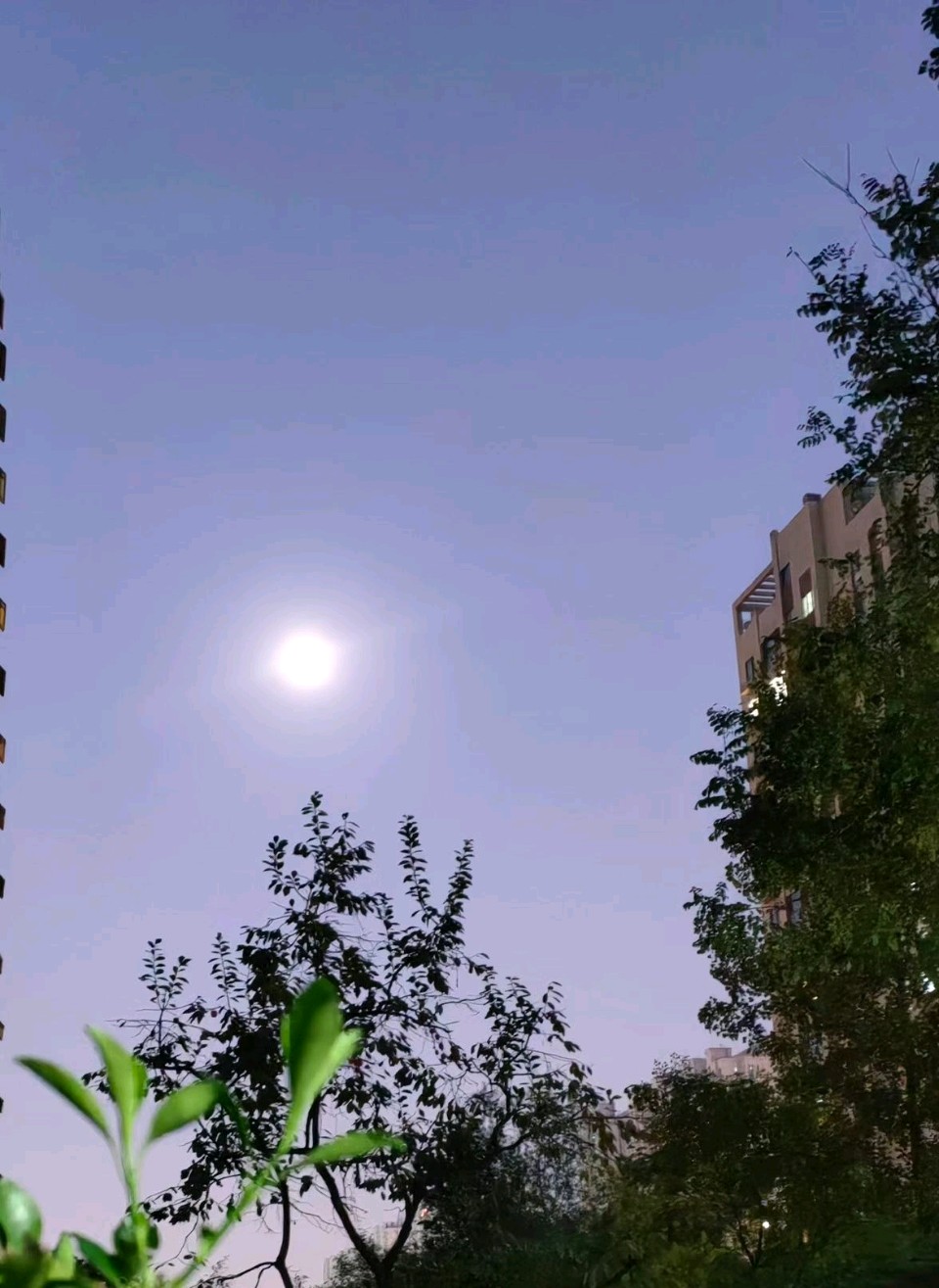 今宵月初圆🌙（图5）