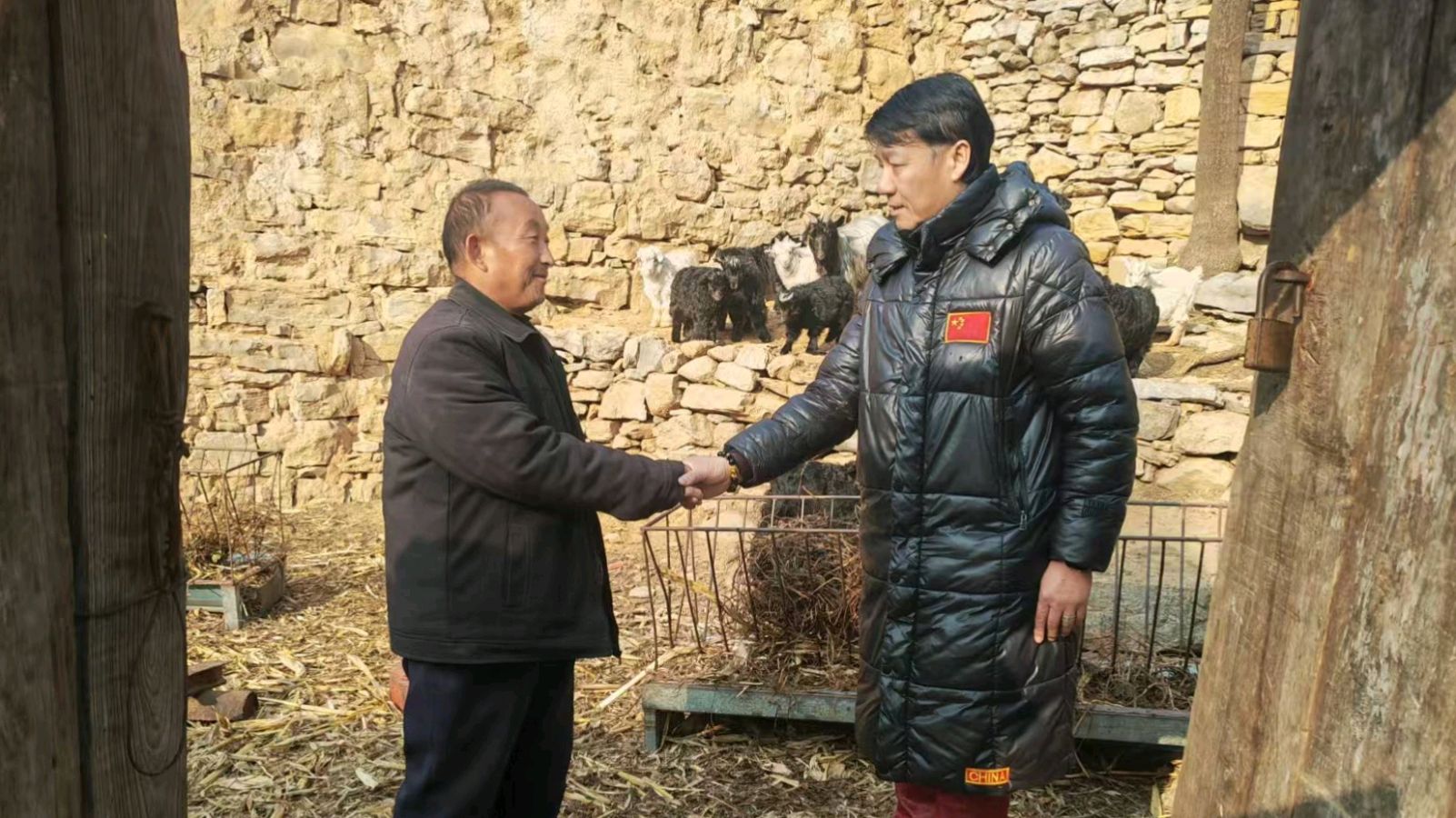 调研走访养羊产业 志愿聚力乡村振兴（图4）