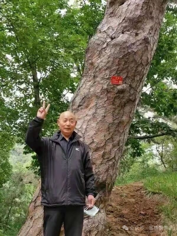 ［唐山作家］瘿袋的记忆//文/北山虎（图4）