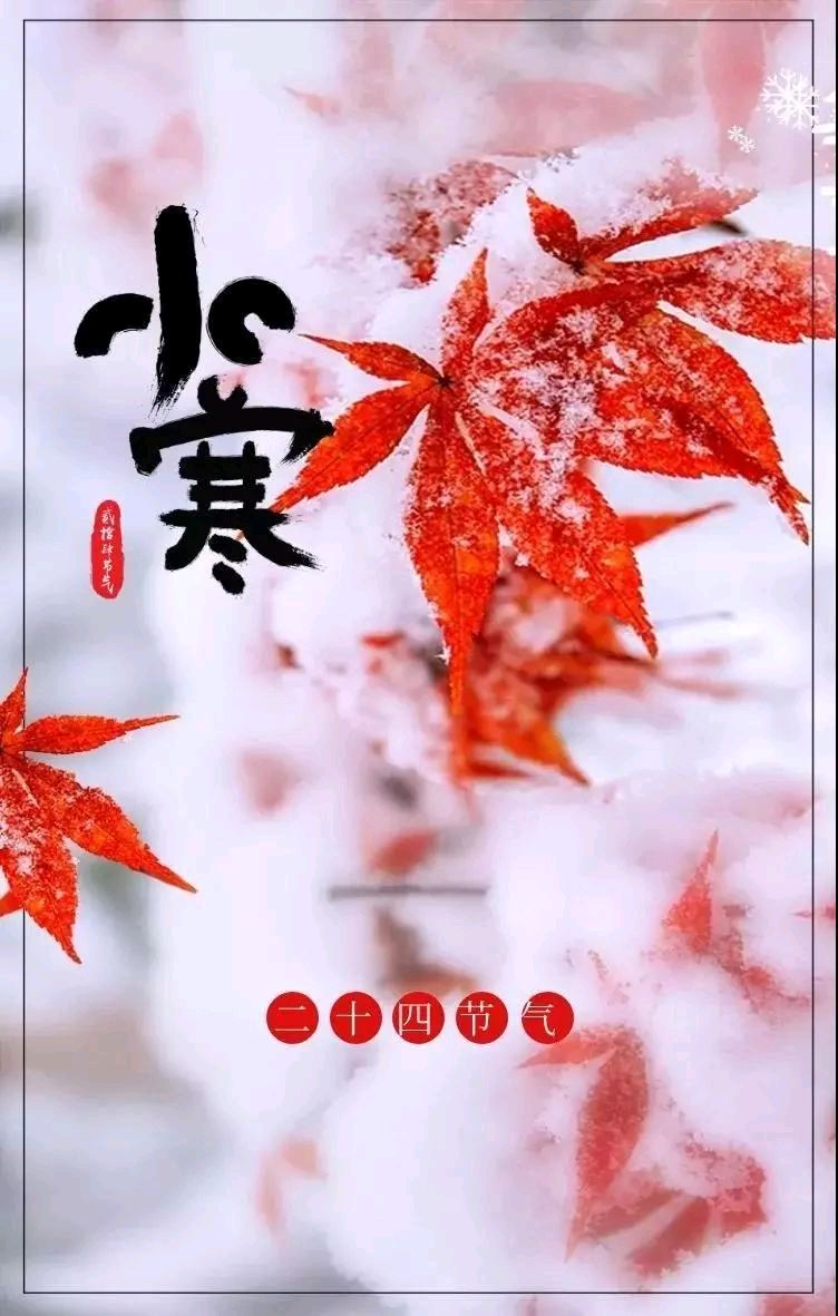 【荣耀中国】文学社*小寒作者/徐细毛（南昌）（图3）