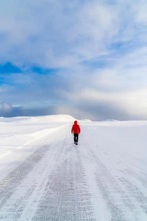 踏雪浅吟～白印良（山西）（图15）