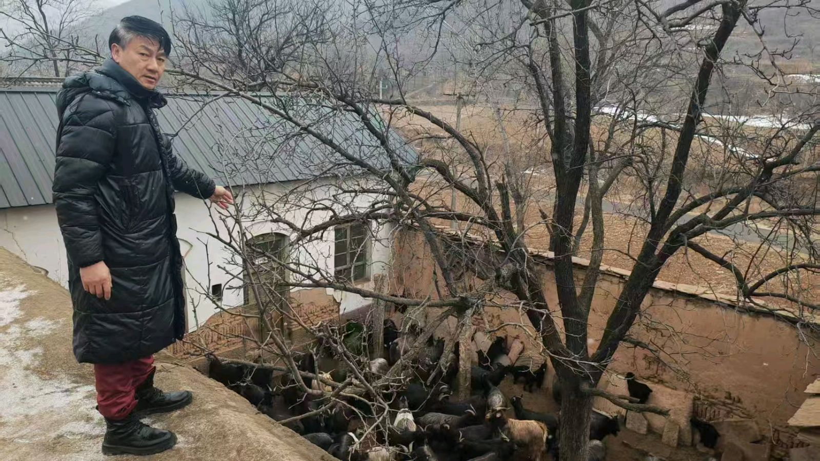 情牵养羊农户 志愿走访兴村（图4）