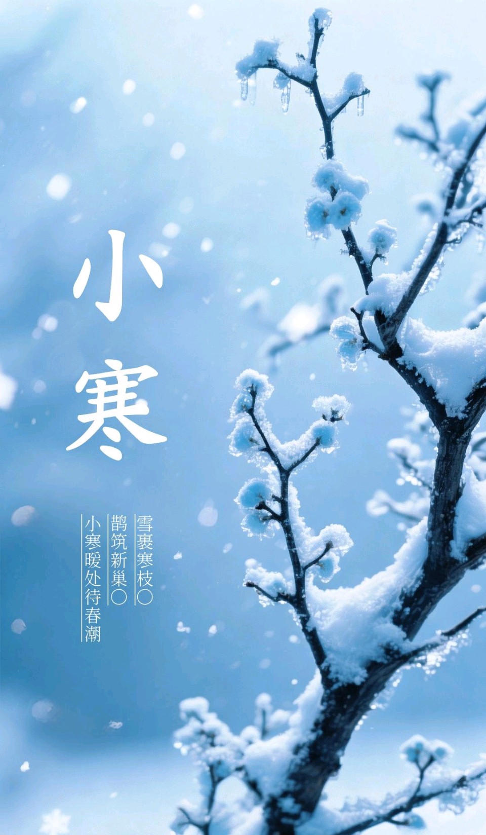 七律-小寒随笔～杨景儒（北京）（图11）