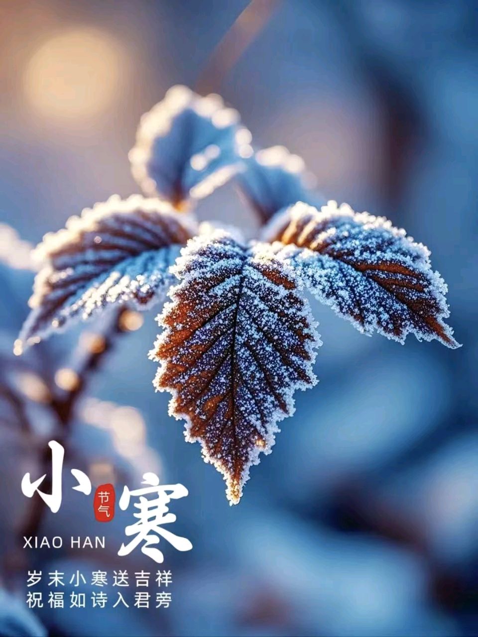 【荣耀中国】文学社*刘华亮诗歌欣赏（图4）