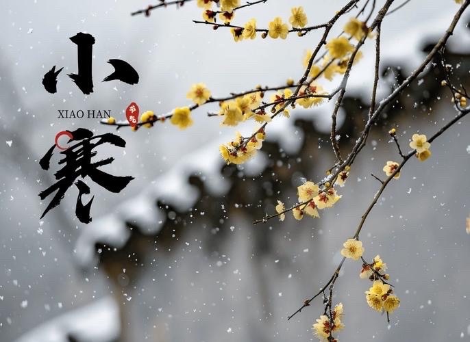 【新诗大观】小寒寄语||文/花惜柔（图3）